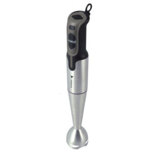 BATIDORA DE VARILLA 700W GRIS