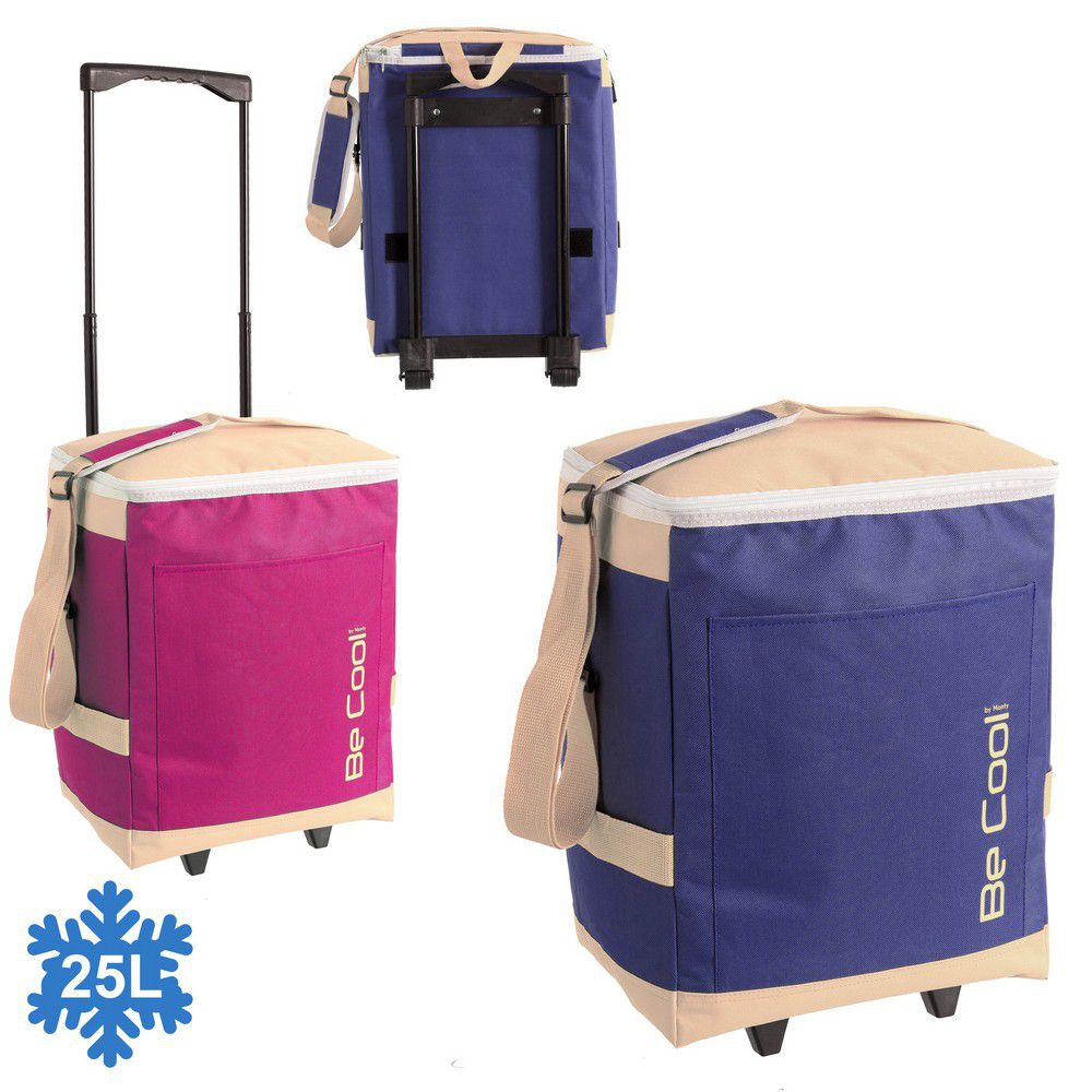 NEVERA CARRO RUEDAS 2/C 30 X 21 X 40 CM BOLSA TERMICA -25 LITROS