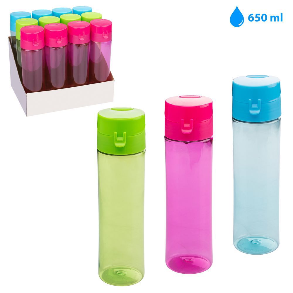 BOTELLA 650 CC PLÁSTICO 3/C CAJA EXPOSITORA 12 UDS