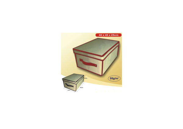 CAJA GUARDA TODOS 60*45*30CM -- 90G/M2