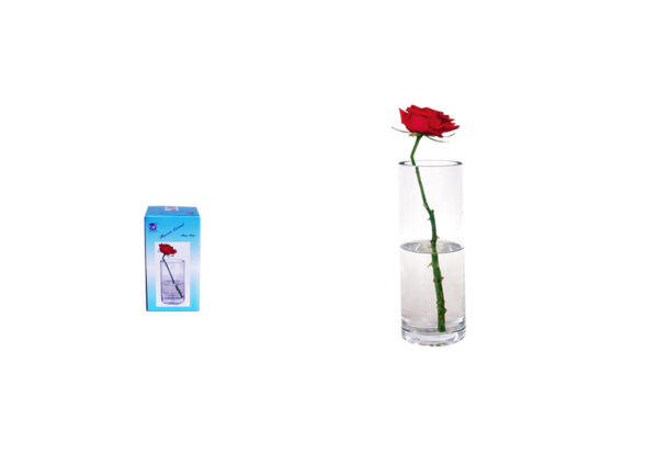 FLORERO CRISTAL Ø8X25CM