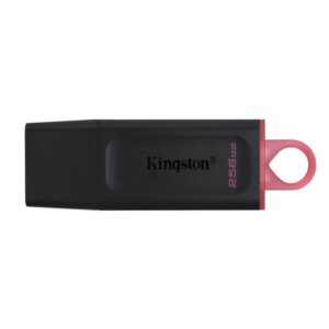 Usb 256gb Kingston Dtx/256 Usb3.2