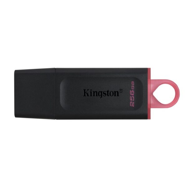 Usb 256gb Kingston Dtx/256 Usb3.2