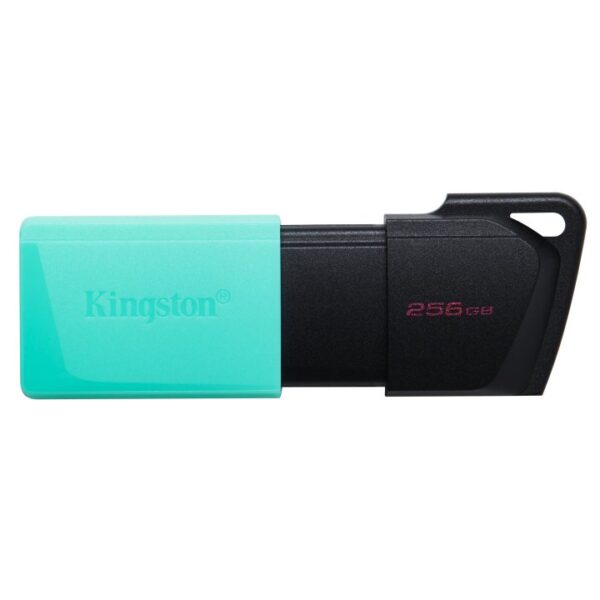 Usb 256gb Kingston Dtxm/256 Usb3.2 Exodia M